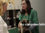 La France en vrai
