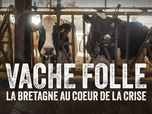 La ligne bleue - Vache folle, la Bretagne au coeur de la crise