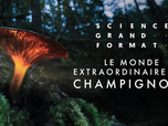 Science grand format