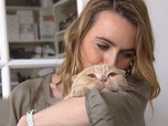 La vie secrète des chats