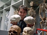 28 minutes - À la recherche du cerveau perdu