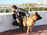 Rex - 09/10/2026