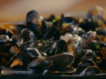 Petits Plats en équilibre - Moules à la normande