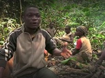 ARTE Reportage - Cameroun : la terreur verte (2018)
