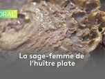 Littoral - La sage-femme de l'huître plate