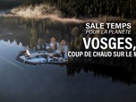 Sale temps pour la planète - Vosges, coup de chaud sur le massif