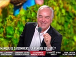 Les Grandes Gueules - Un pesticide jusqu'ici interdit en France réautorisé : la loi agricole va-t-elle nous mettre en danger ?