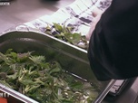 Top chef - Épisode 15 - Partie 1