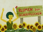 Karambolage - Quand les Allemands sont en retards, ils amènent des fleurs