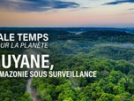 Sale temps pour la planète - Guyane, l'Amazonie sous surveillance