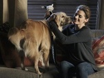 Castle - S4E13 - Une vie de chien
