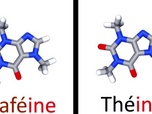 e=m6 - Beurre ou huile, thé ou café, viande rouge ou blanche : 3 matchs arbitrés par la science !