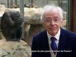e=m6 - Beauval : les secrets scientifiques du plus grand zooparc de France