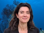 28 minutes - Fonds marins en danger ?
