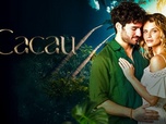 Cacau