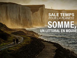Sale temps pour la planète - Somme, un littoral en mouvement